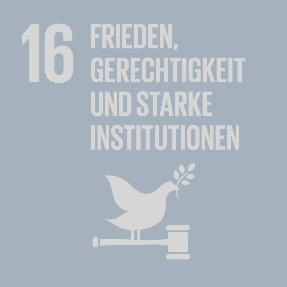 SDG-icon-DE-16g