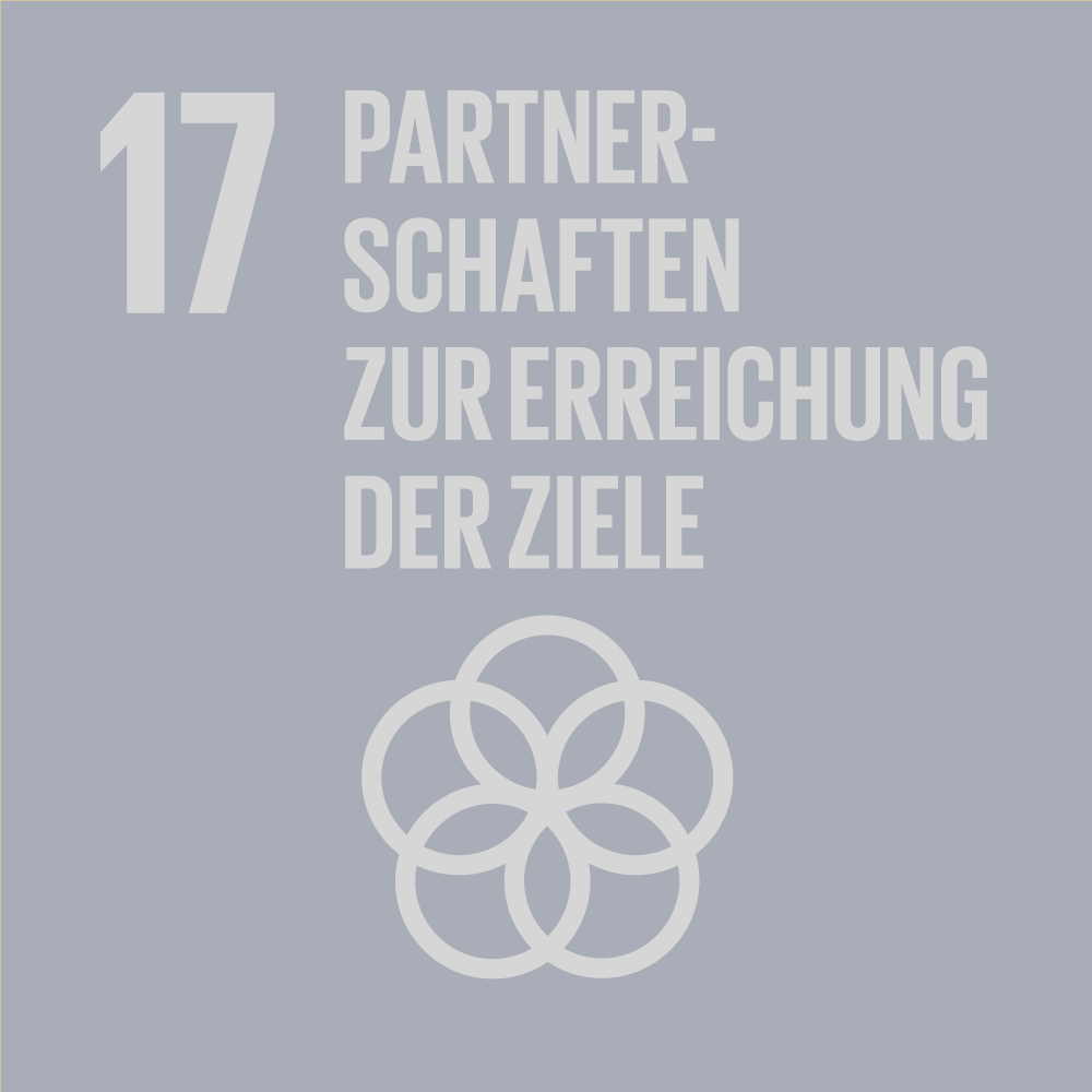 SDG-icon-DE-17g